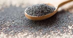 Foto: (alexxx1981/istock)