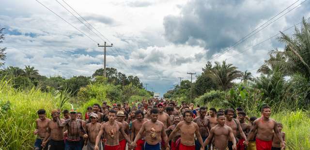 38º Panorama da Arte Brasileira: Mil graus