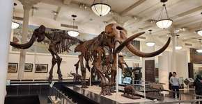 Foto: (Márcio Diniz/Catraca Livre)