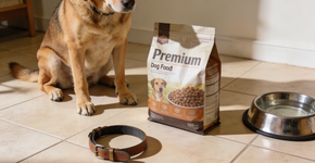 Foto: (Imagem sem texto alternativo disponivel ID [2728224])