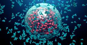 Estudo brasileiro descobre chave para superimunidade contra covid