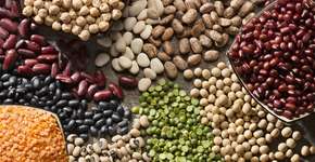 Foto: (Janine Lamontagne/istock)