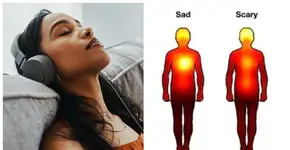 Foto: (Delmaine Donson/Ralwel/istock/ Universidade de Turku)