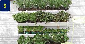 Faça você mesmo um jardim vertical sustentável