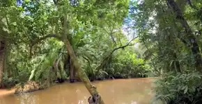 Foto: (Imagem sem texto alternativo disponivel ID [1839404])