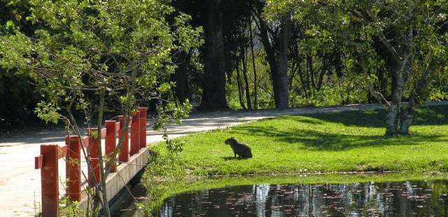 Parques no Rio: verdadeiros oásis em meio ao caos carioca