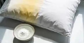 Foto: (Imagem sem texto alternativo disponivel ID [2683551])