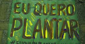 Marcha da Maconha pede legalização