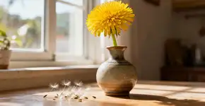 Dente-de-leão, a flor que o Feng Shui recomenda ter na sua cozinha para o que der e vier