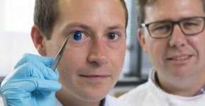 Foto: (Imagem sem texto alternativo disponivel ID [1579489])