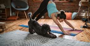 Foto: (iStock/hobo_018)