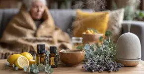Óleos essenciais revolucionam recuperação do resfriado