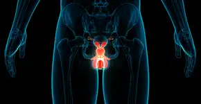 Foto: (magicmine/istock)