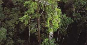 Foto: (Imagem sem texto alternativo disponivel ID [542725])