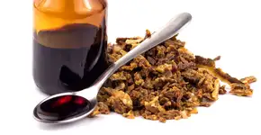 Estudo faz importante ligação entre própolis e pacientes com HIV