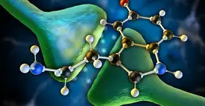 Foto: (Andreus/istock)