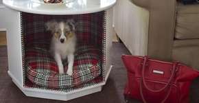 Foto: (Imagem sem texto alternativo disponivel ID [923058])