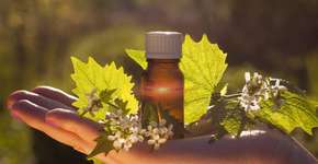 Saiba por que não se deve usar floral de Bach Rescue regularmente