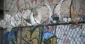 Foto: (Imagem sem texto alternativo disponivel ID [1866511])