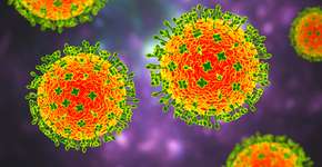 Foto: (Dr_Microbe/istock)