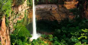 Foto: (Imagem sem texto alternativo disponivel ID [868555])