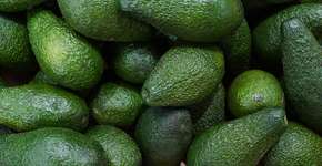 Esta é a parte mais preciosa do abacate – e você estava jogando no lixo!