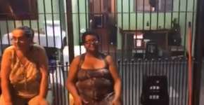 Foto: (Imagem sem texto alternativo disponivel ID [1188223])