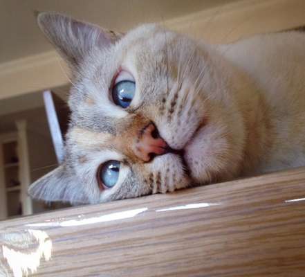 Reprodução / Instagram