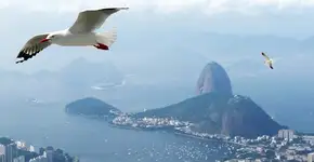 Férias no Rio de Janeiro: gaste pouco e curta muito!