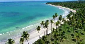 Foto: (Cristian Lourenço/iStock)