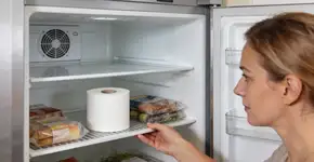 Foto: (Imagem sem texto alternativo disponivel ID [2726563])