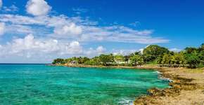 Foto: (Imagem sem texto alternativo disponivel ID [1868786])