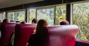 Foto: (Istock/Kapook2981)