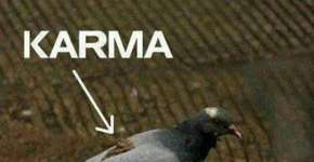 Ação e reação: o que é karma para você?