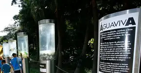 Exposição sobre o problema da água no Sesc Interlagos