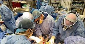 Foto: (divulgação/Northwell Health)