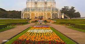 Foto: (Imagem sem texto alternativo disponivel ID [1870240])