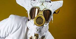 Foto: (Imagem sem texto alternativo disponivel ID [740090])