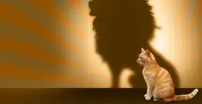 Foto: (Imagem sem texto alternativo disponivel ID [1353597])