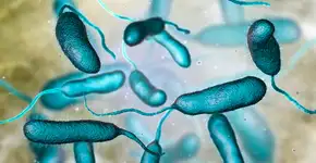 Foto: (Dr_Microbe/istock)