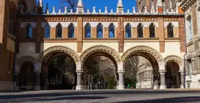 Foto: (Divulgação)