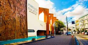 Foto: (Foto: Divulgação Fundação das artes)