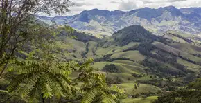 Foto: (istock/Rosane Guimaraes)