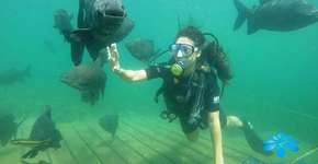 Foto: (Divulgação)