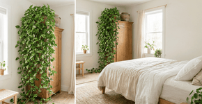 Foto: (Imagem sem texto alternativo disponivel ID [2756042])