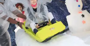 Foto: (Imagem sem texto alternativo disponivel ID [2206271])