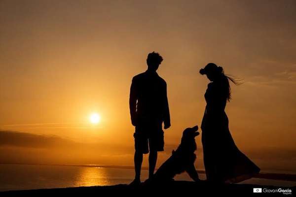 Cachorros de diferentes raças e tamanhos e compõe as fotos do book do casamento ou na própria cerimônia (imagem: Giovani Garcia) 