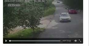 Vídeo mostra ataque de tigre a uma mulher em parque na China