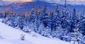 Conheça 29 lugares quase intocados