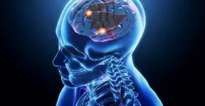 Foto: (iStock/nopparit)